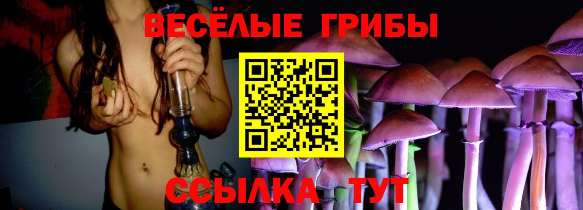 где купить наркоту  Галлюциногенные грибы мухоморы  Вход с VPN  Пермь 